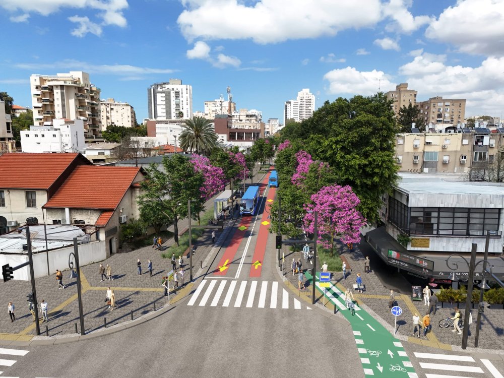 רחובות: ארבעה עצי פיקוס יועתקו במסגרת עבודות הקו הכחול &ndash; צפויים שיבושי תנועה בלילה