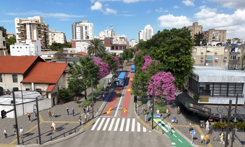 רחובות: ארבעה עצי פיקוס יועתקו במסגרת עבודות הקו הכחול &ndash; צפויים שיבושי תנועה בלילה