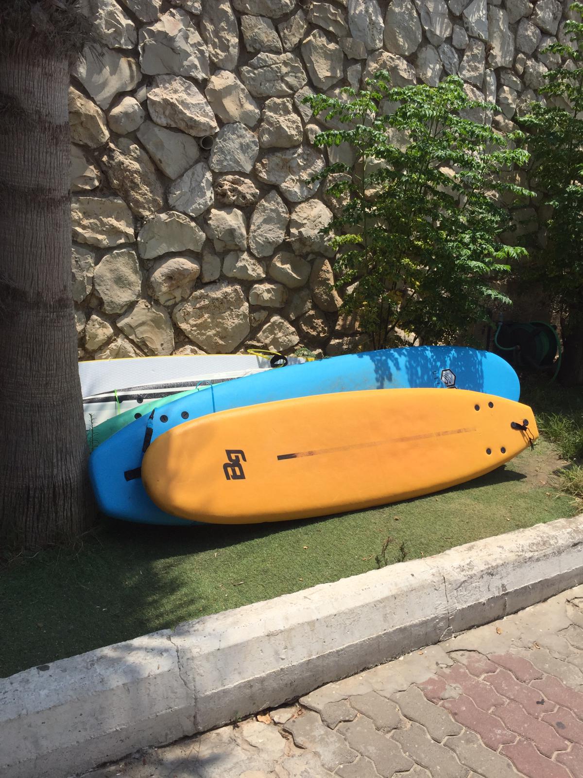 צילום: מדריך הגלישה