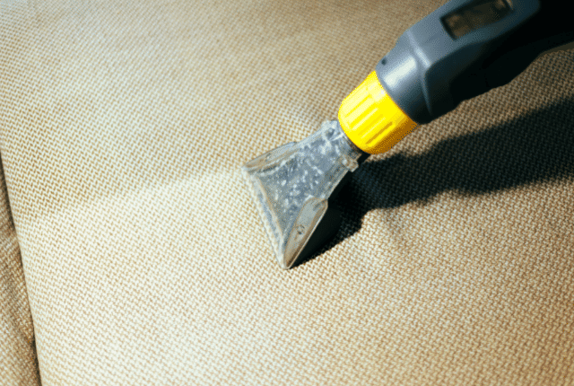 תמונה: אתר CANVA