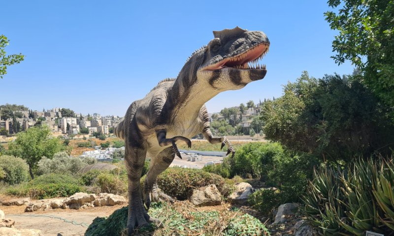בוטניזאור פעילות הקיץ בגן הבוטני צילום תום עמית 
