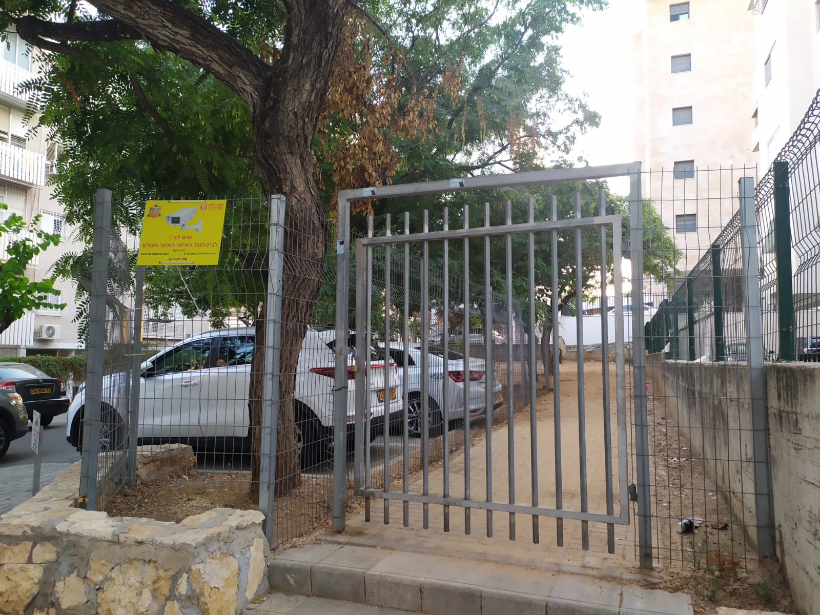 צילום: עדי כהן