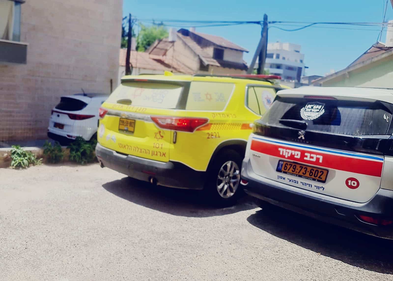 צילום: פרטי