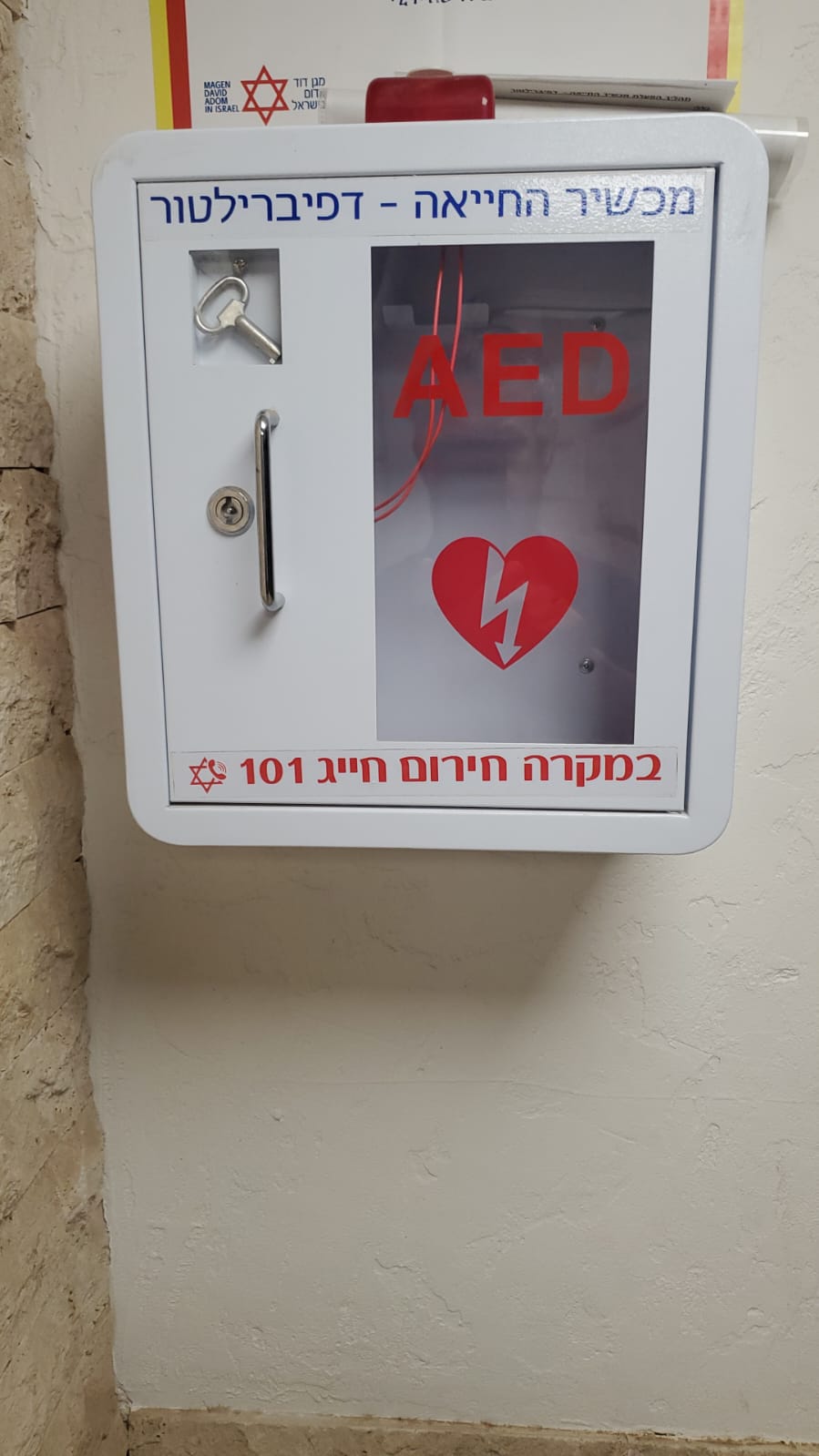 צילום: פרטי