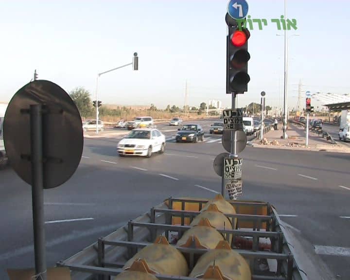 צילום: עמותת אור ירוק