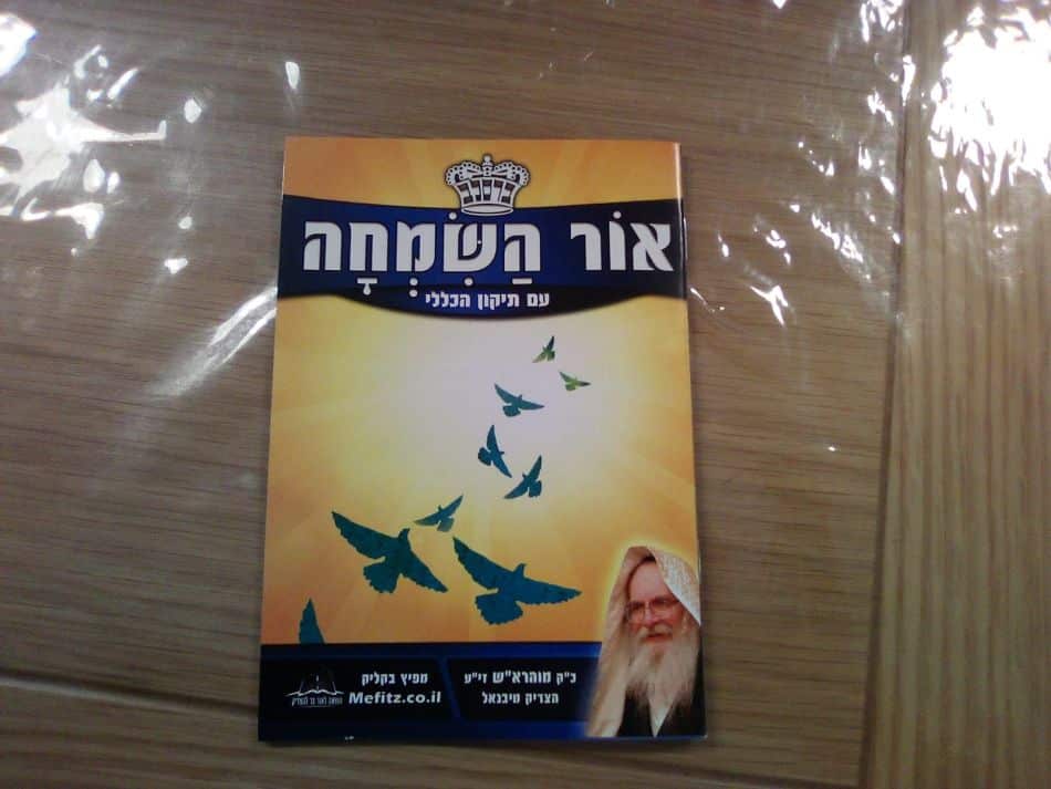 צילום: מערכת גל גפן