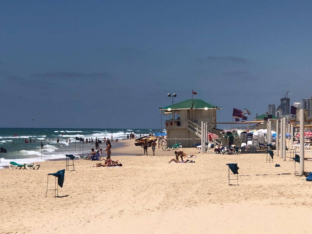 צילום: מערכת גל גפן