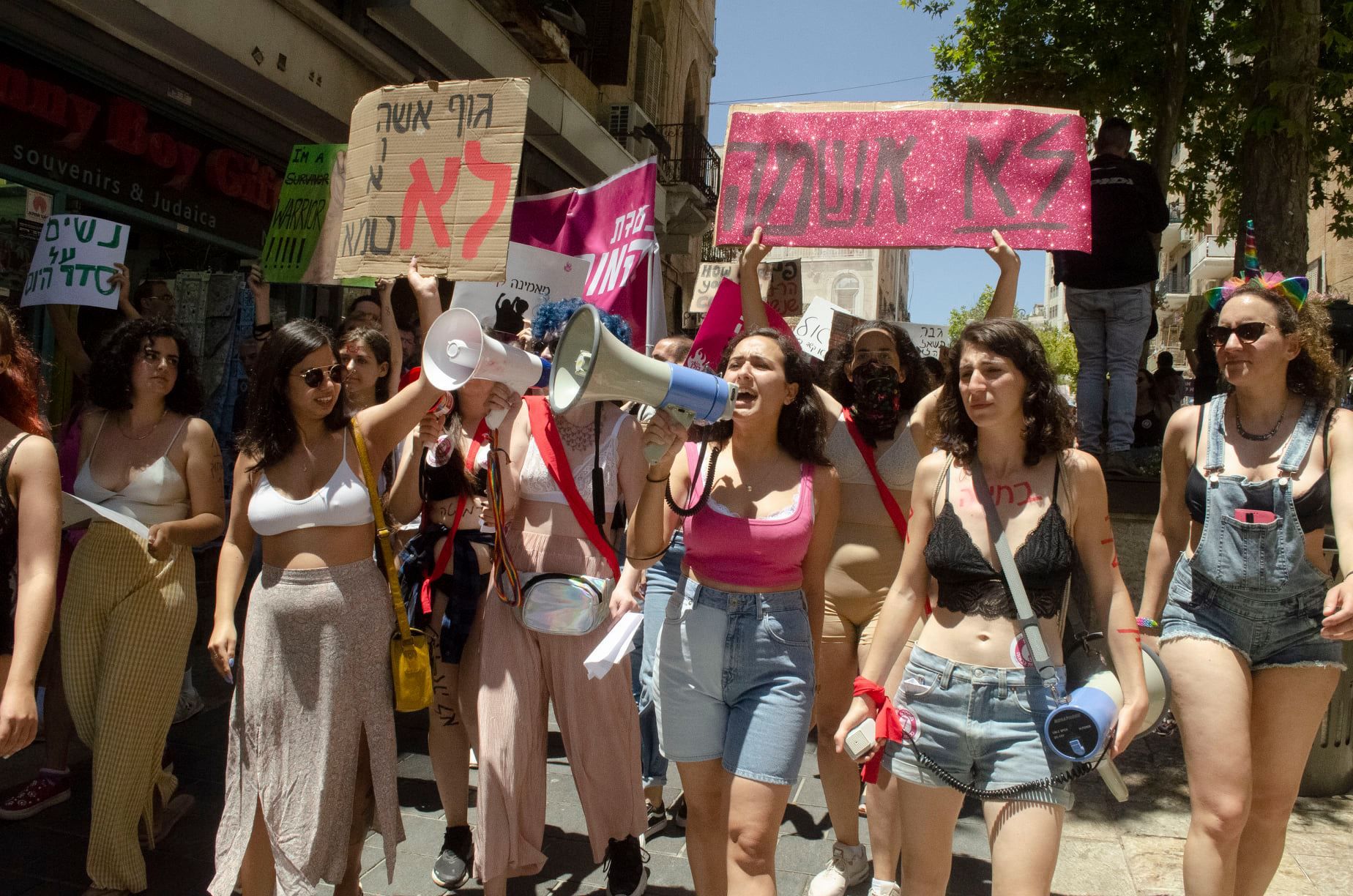 צילום: רוני נובה