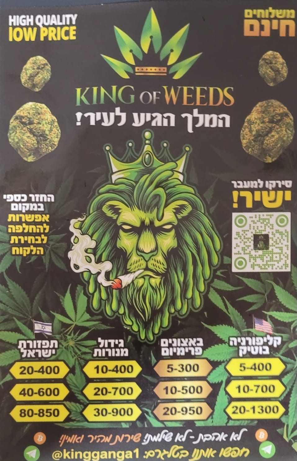 "המלך הגיע לעיר!". הפלאייר שחולק בשכונה. צילום: תןשב השכונה