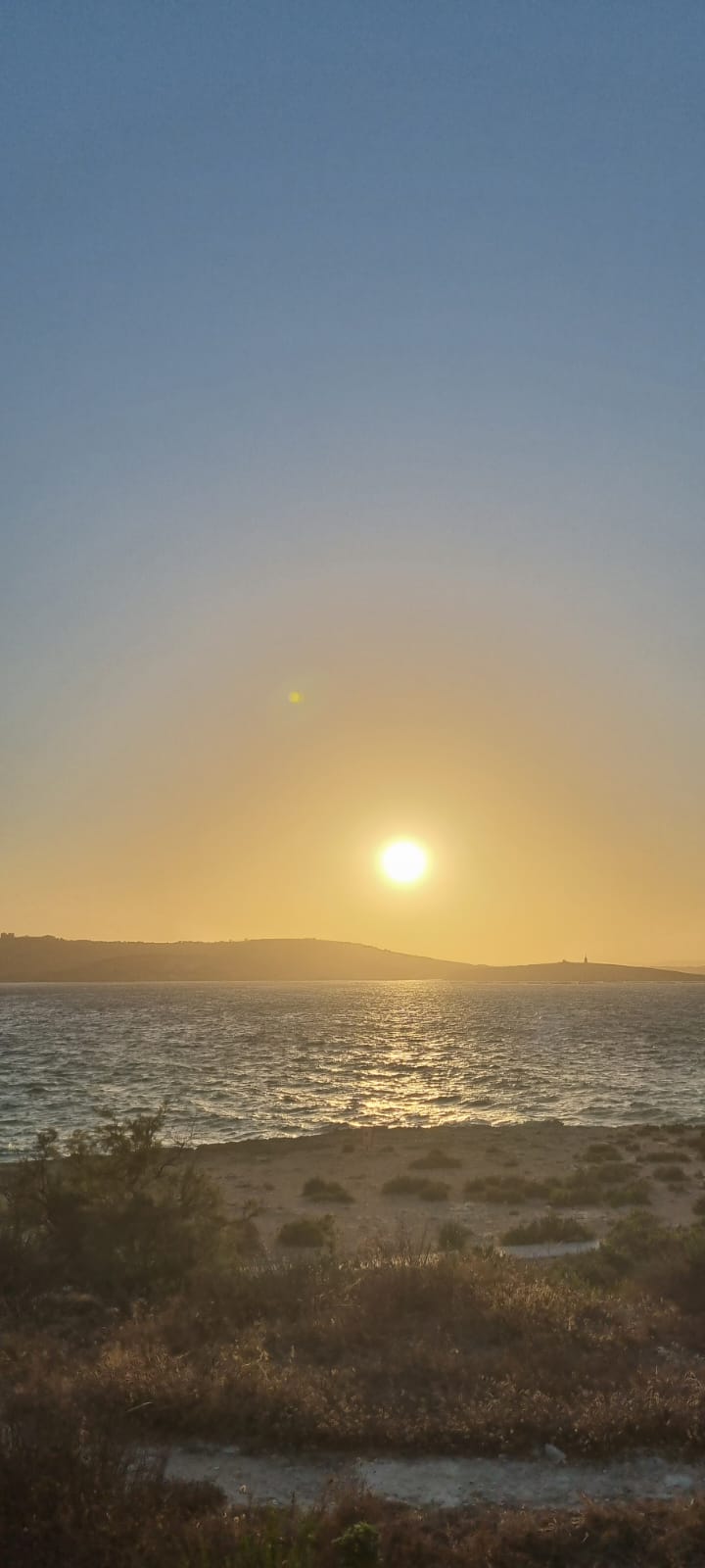 צילום: מערכת גל גפן