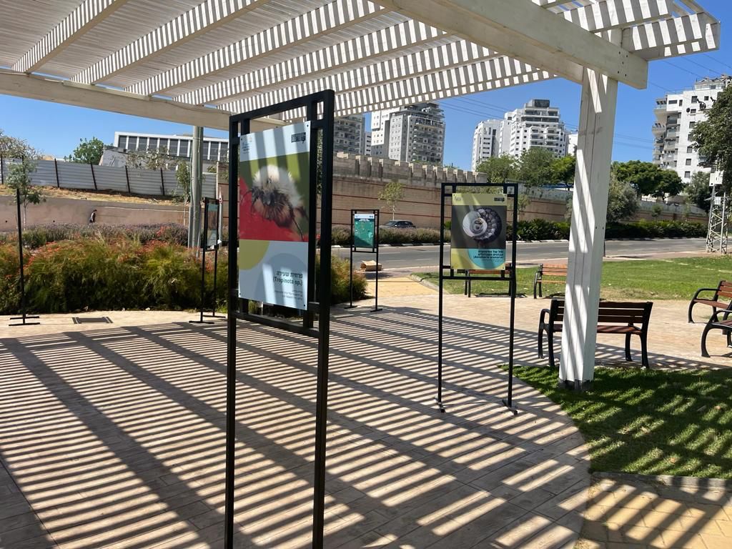 מתערוכת הצילומים בגן בוטווין. צילום: עיריית רחובות