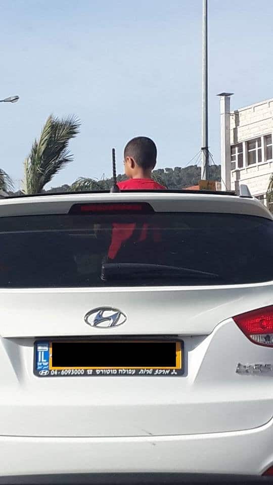 צילום: עמותת אור ירוק