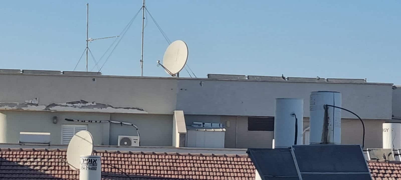 צילום: מערכת "גל גפן"