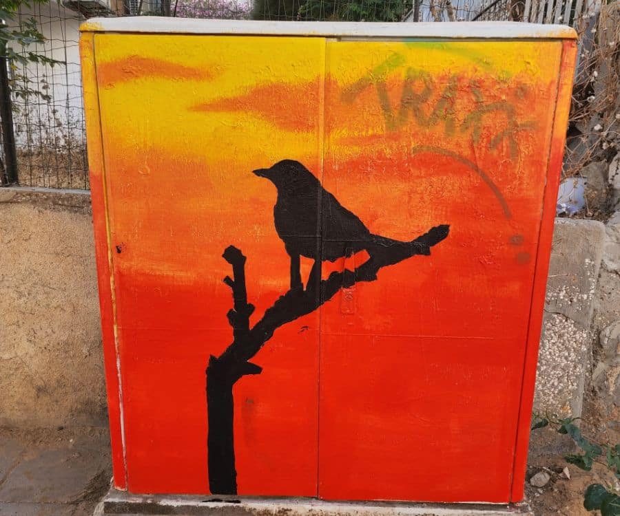 צילום: דוברות עיריית בת ים