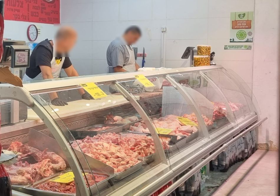 צילום: מערכת גל גפן