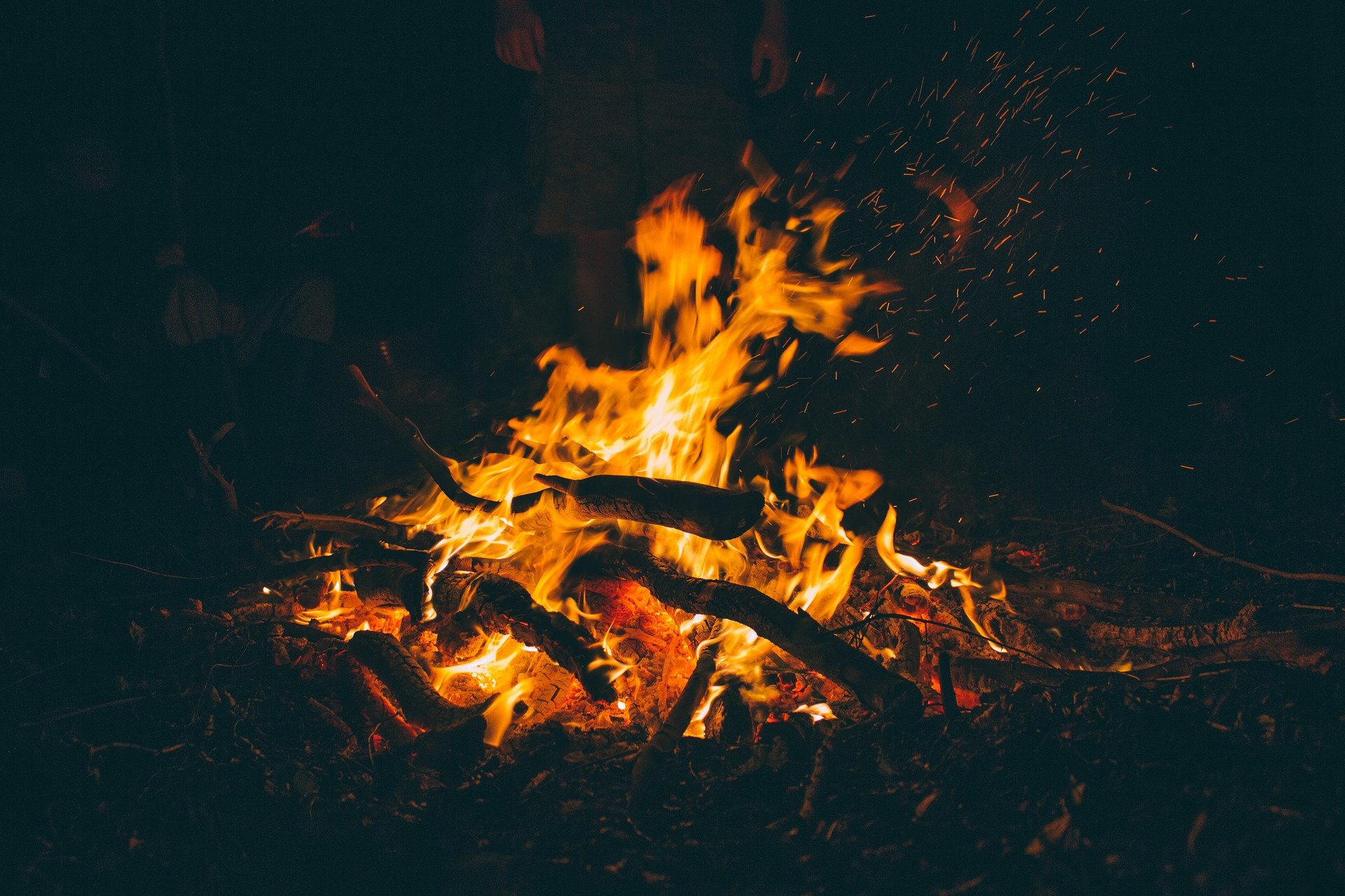 צילום: PIXABAY