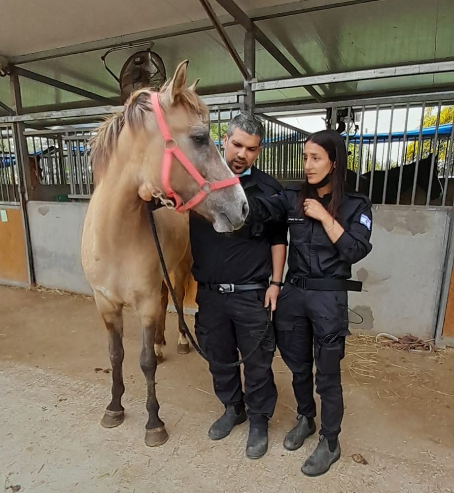 צילום: דוברות ראשון לציון