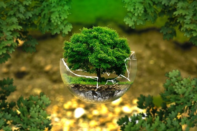 צילום: pixabay