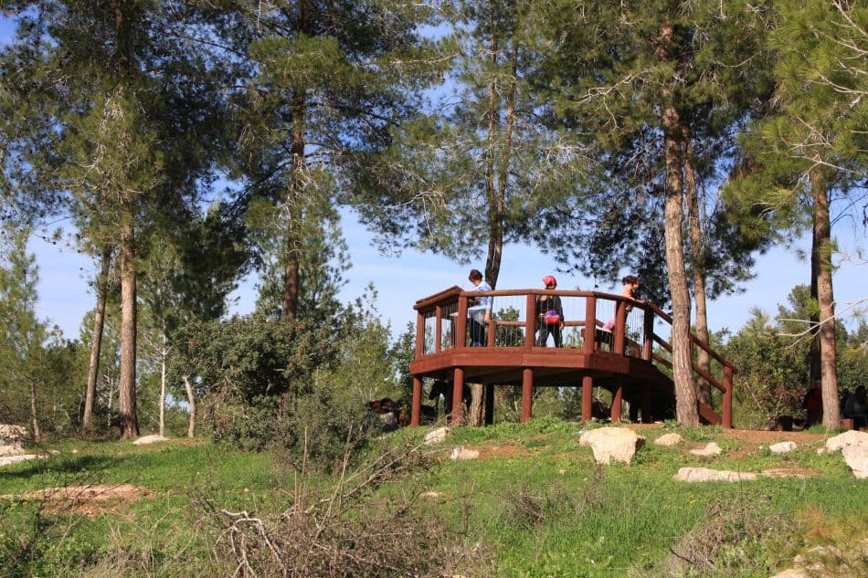 יער בן שמן- צילום: יעקב שקולניק