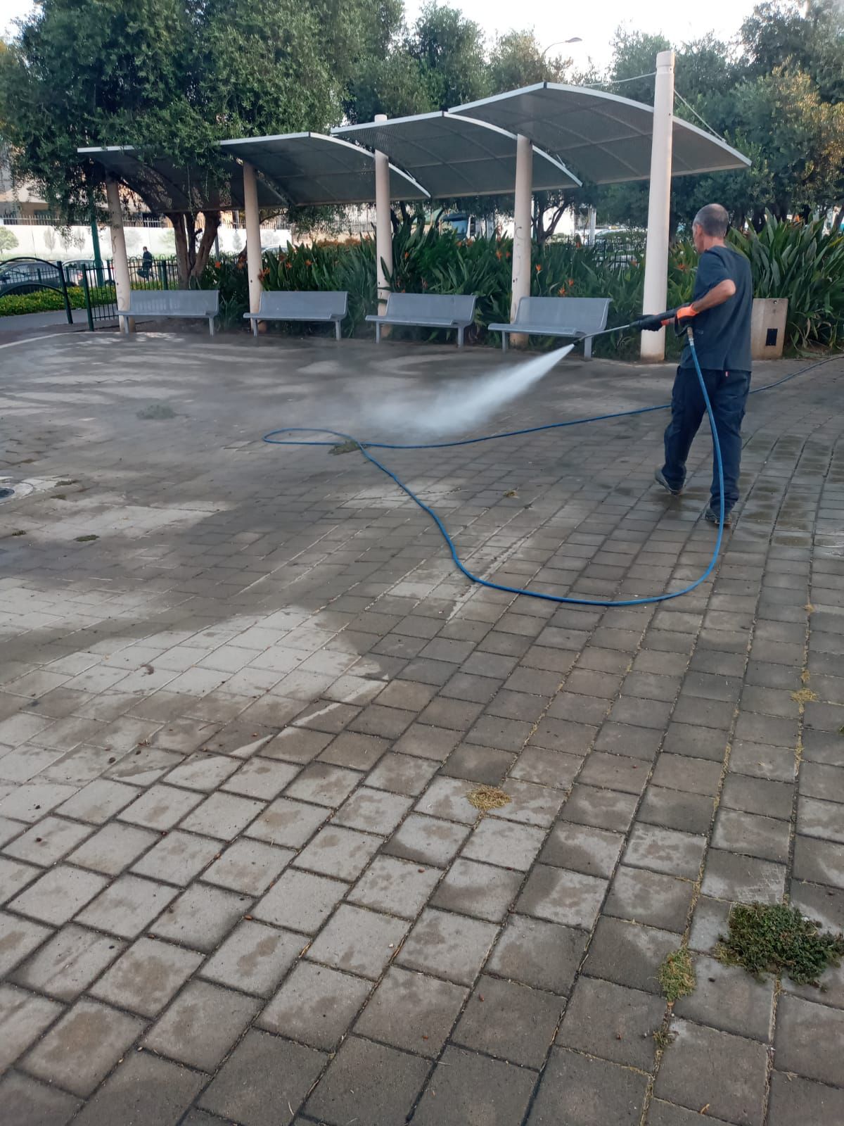 צילום: באדיבות דוברות עיריית רחובות