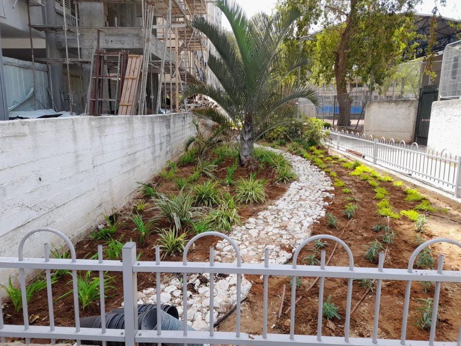 צילום דוברות ראשון לציון