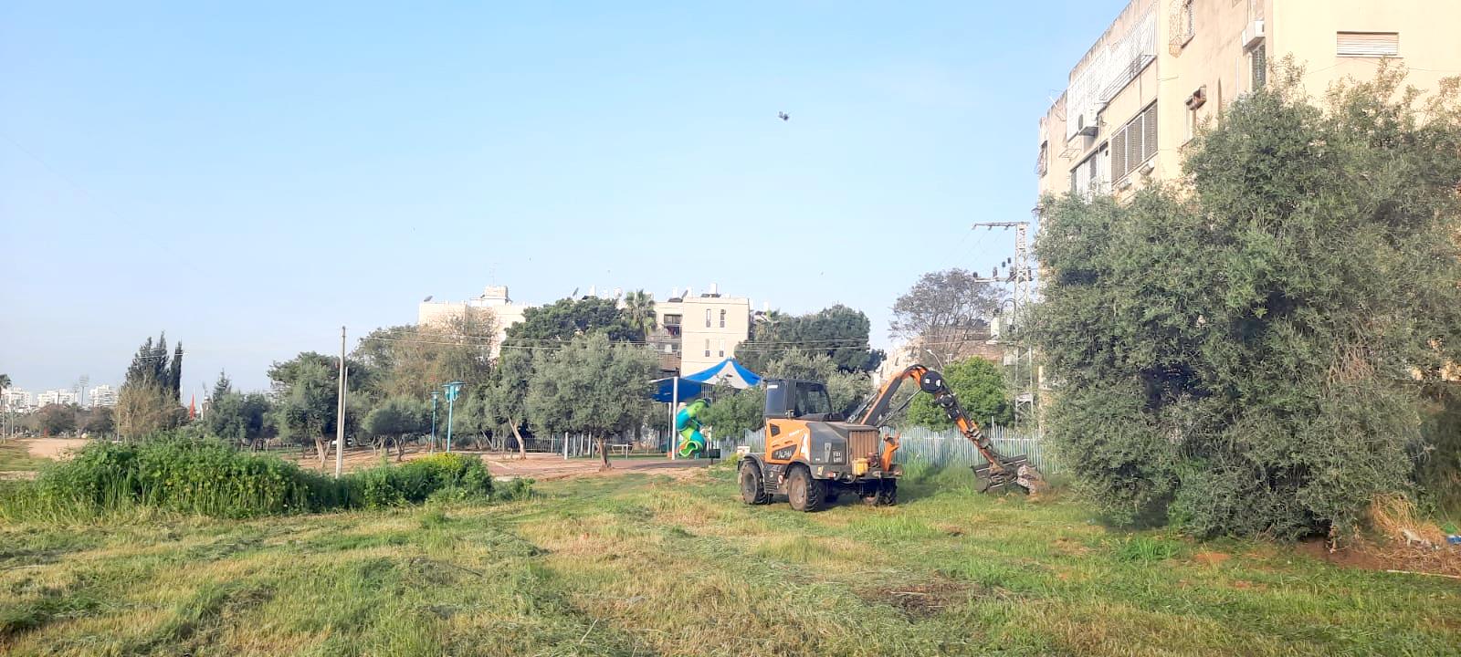 צילום: באדיבות דוברות עיריית לוד