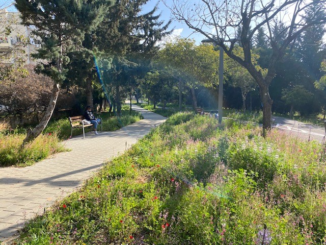 צילום: עיריית חולון