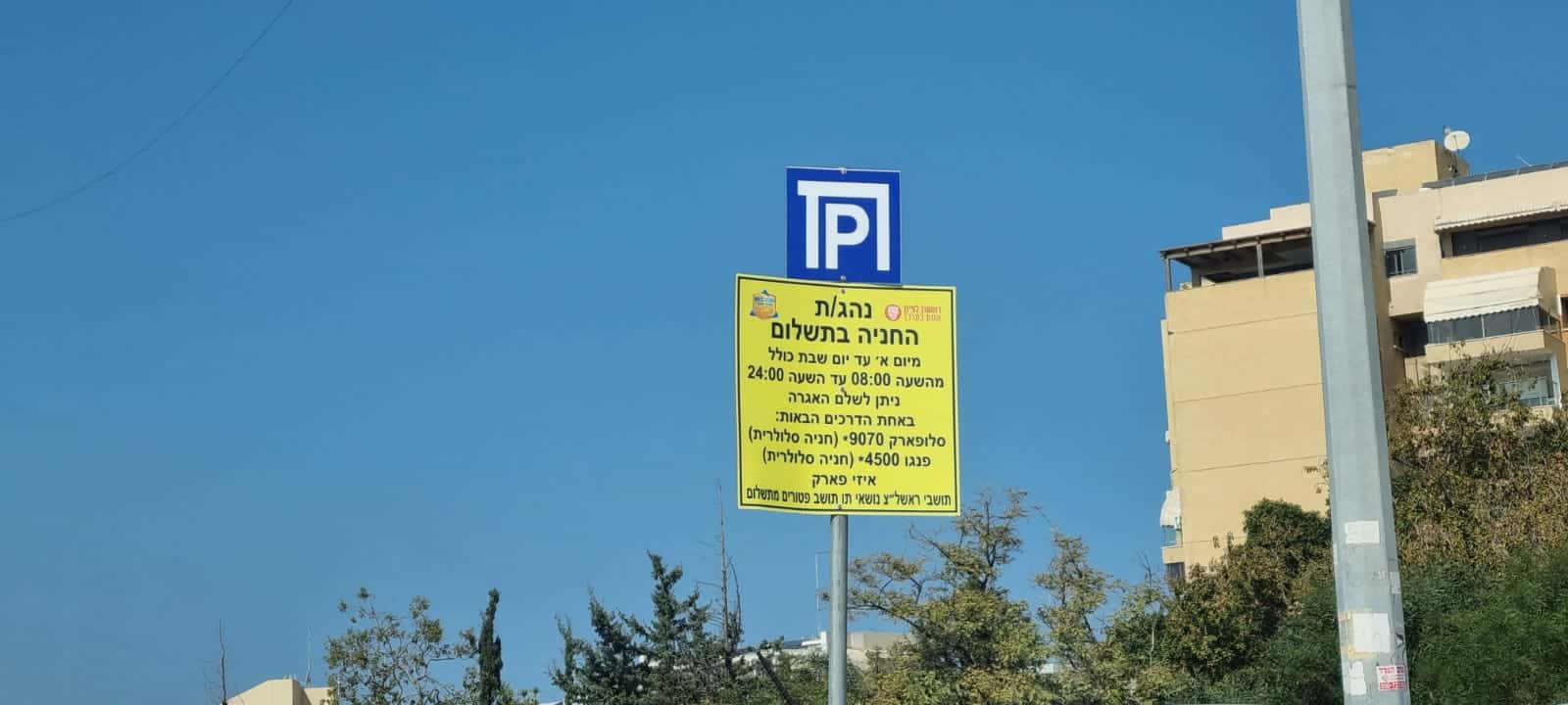 צילום: בתי לוין