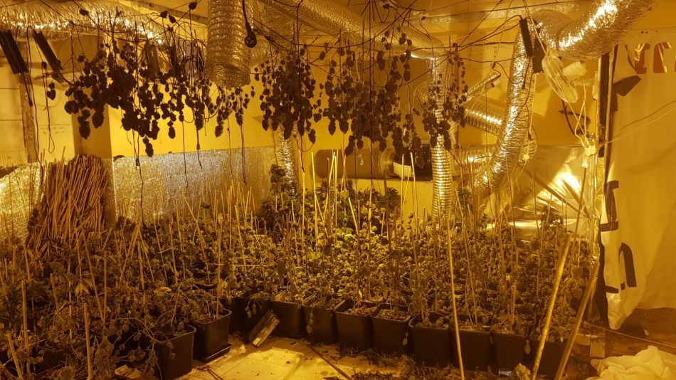 צילום: דוברות משטרת ישראל