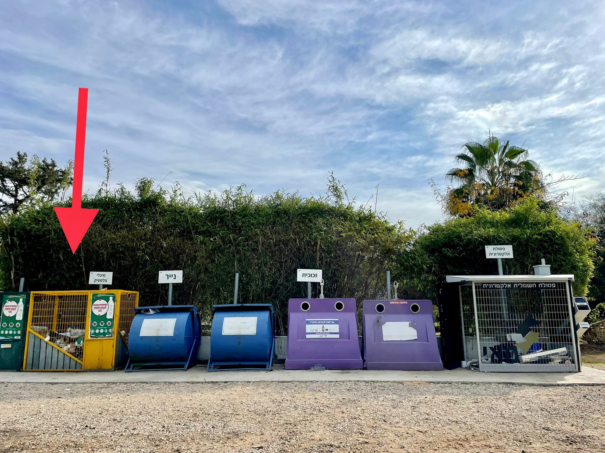 צילום: יח"צ