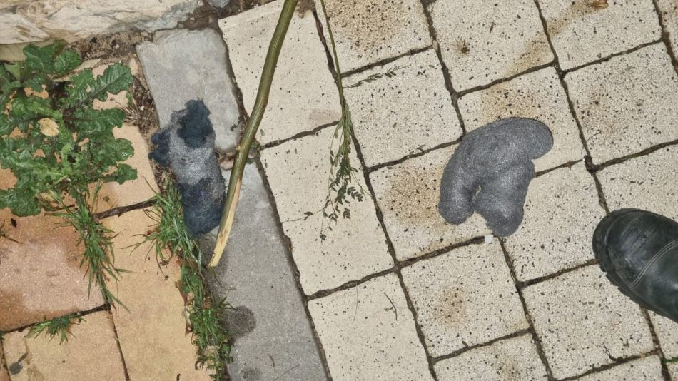צילום: עיריית ראשון לציון