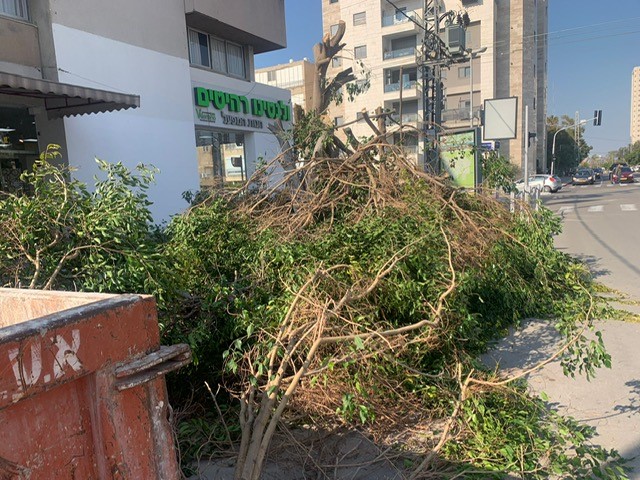 צילום: עיריית חולון