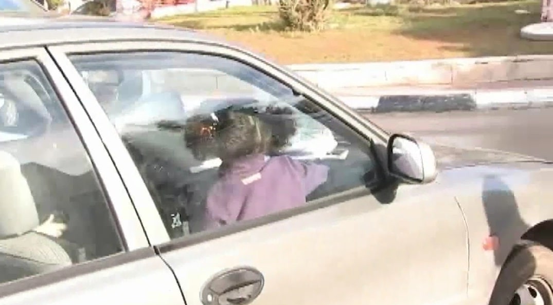 צילום: עמותת אור ירוק