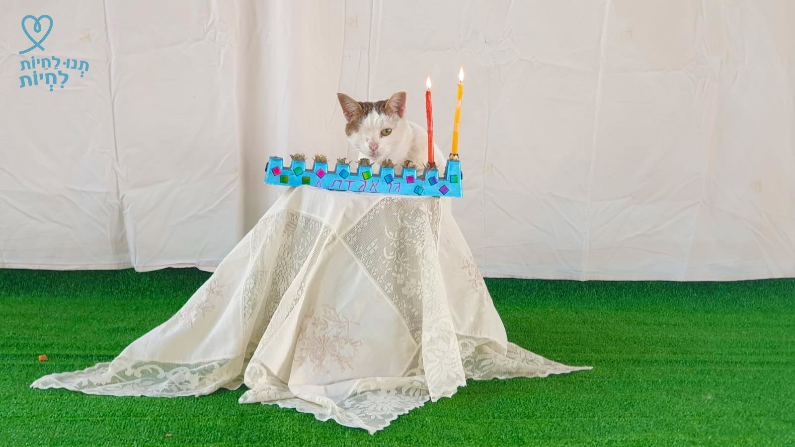 יודה