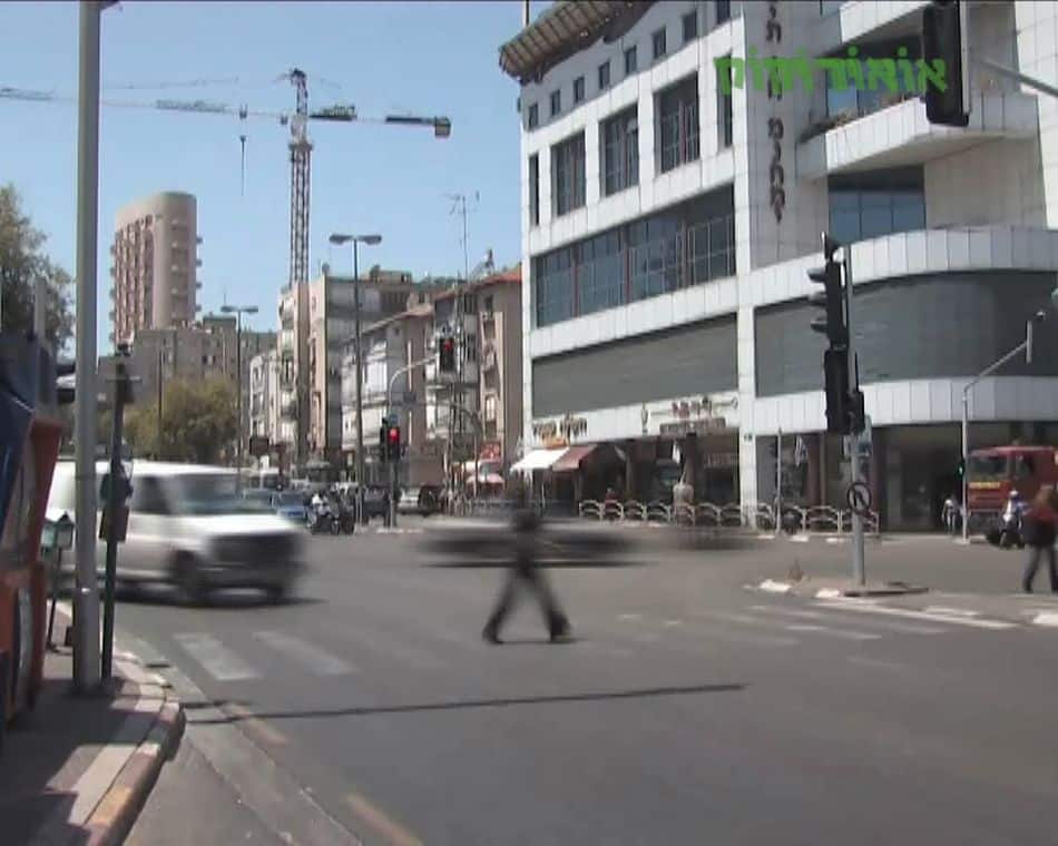 צילום: עמותת אור ירוק