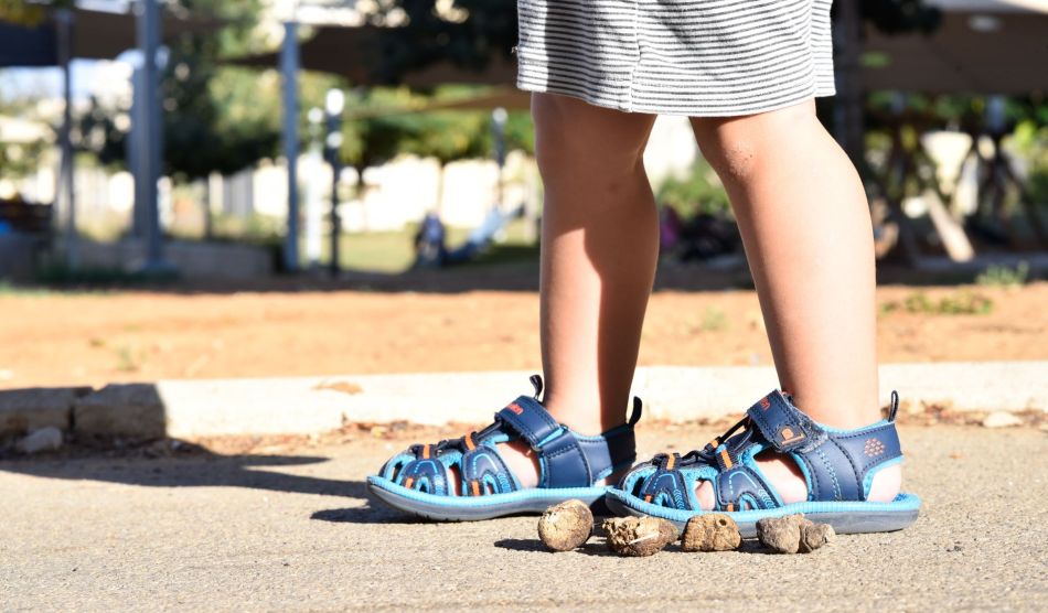 צילום: עיריית חולון