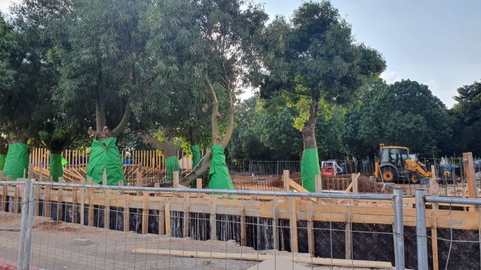 העבודות בחורשה. צילום: פרטי