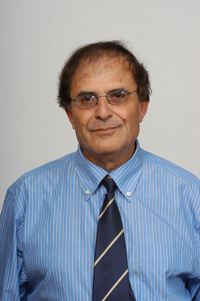 דורון מילברג