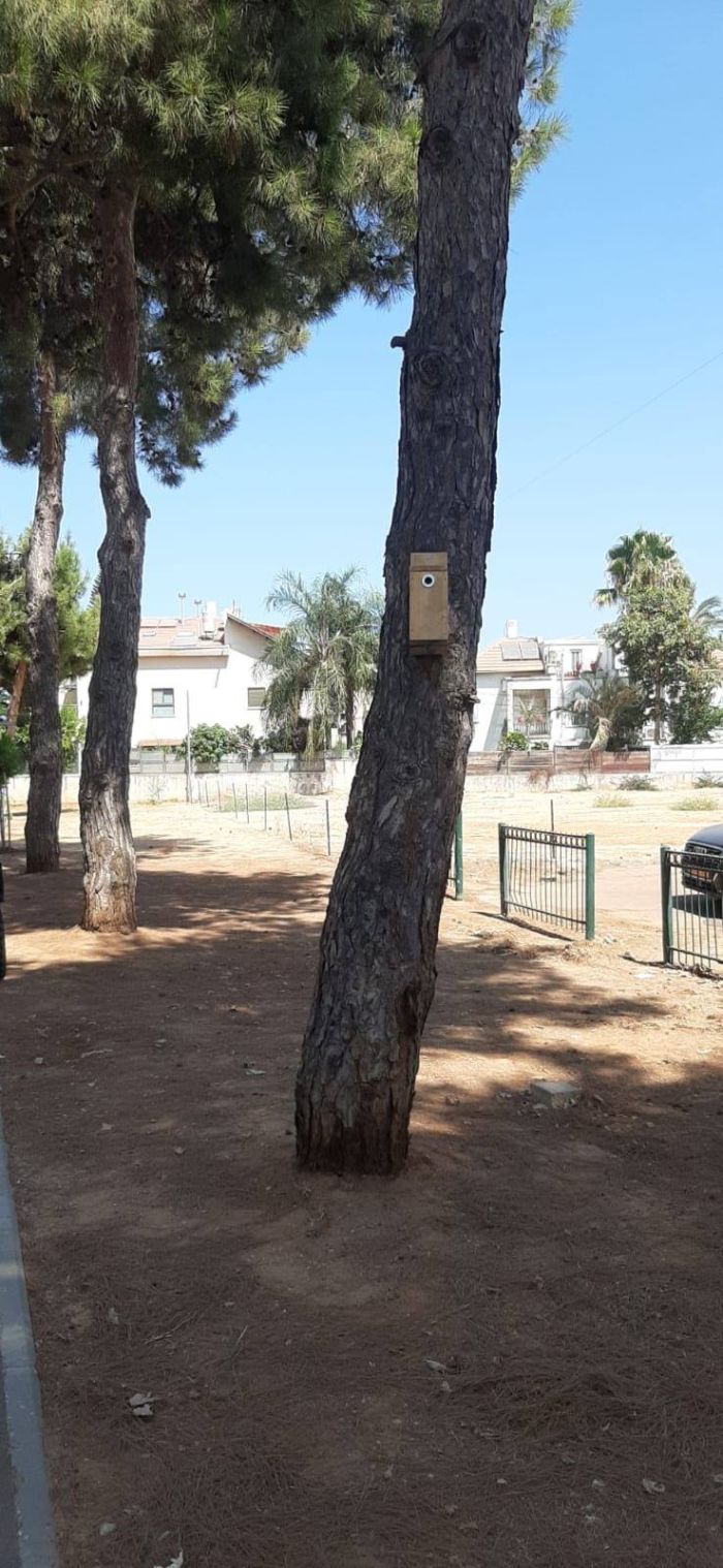 תיבות הקינון. צילום: אגף שפע, עיריית קריית אונו