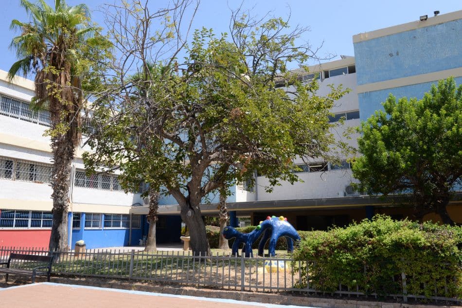 בית הספר ״שדמה״ לא ייפתח מחר