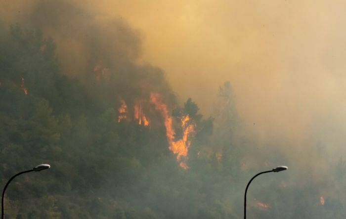 השריפה בפאתי ירושלים. צילום: נדב יופה נבו
