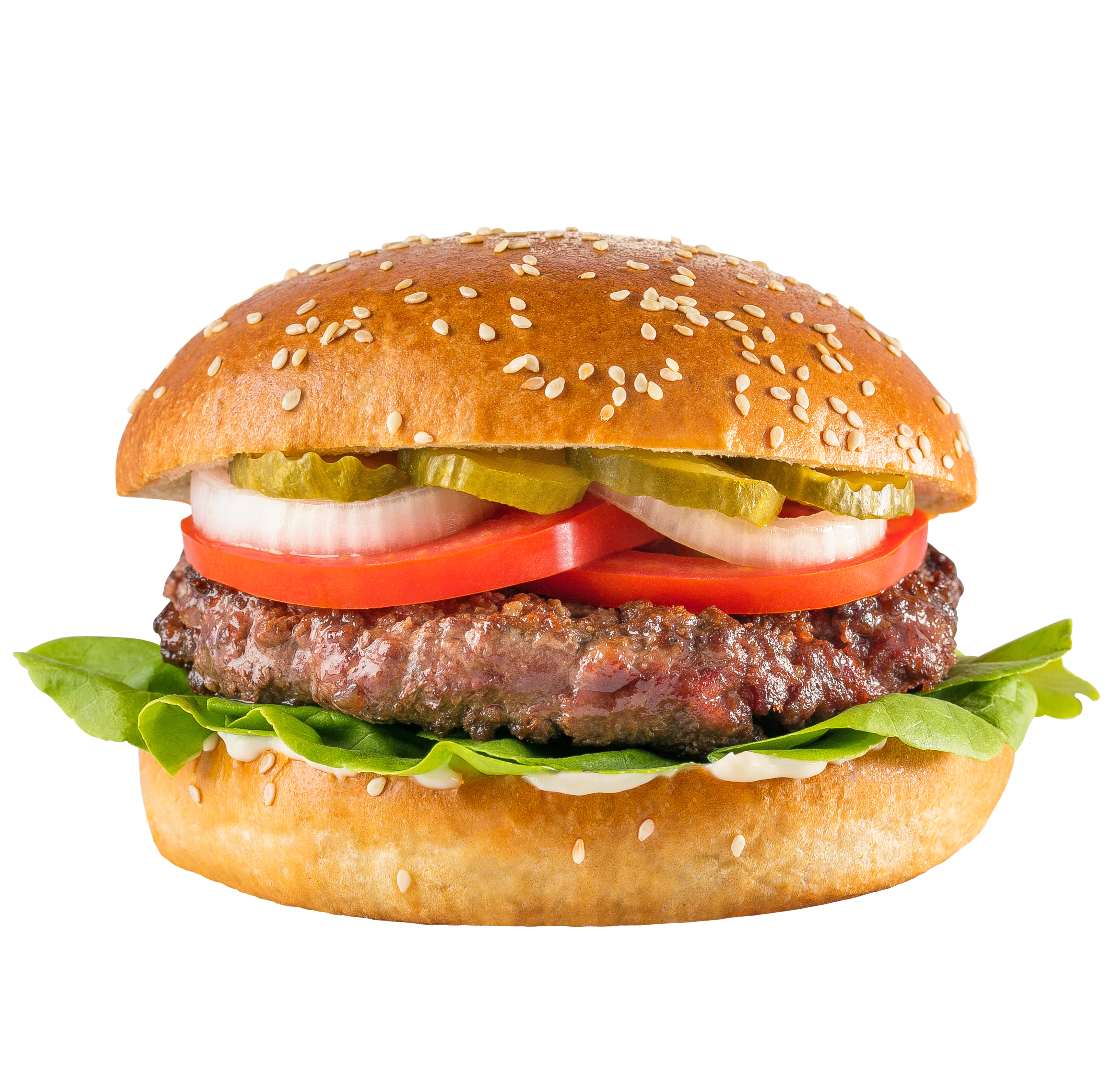צילום: יח"צ
