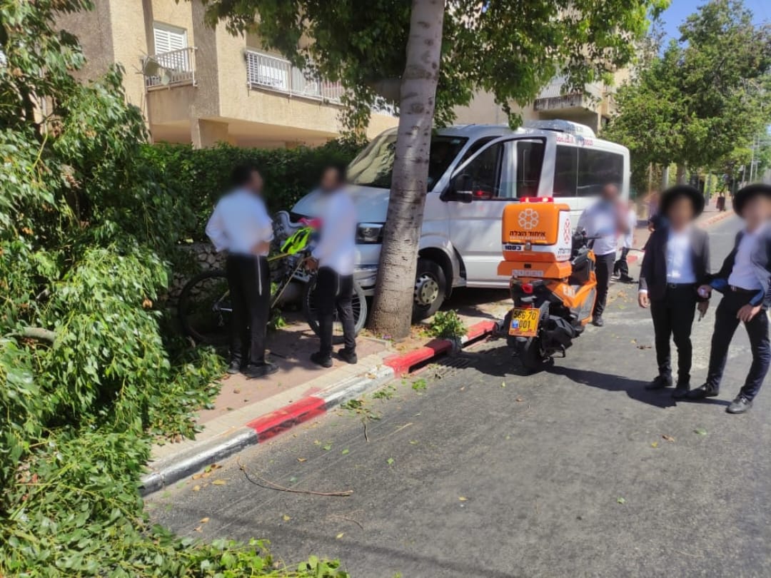 נהג רכב הסעות התנגש בעץ ברחוב זכריה מדר ברחובות