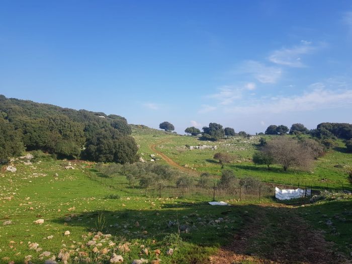 צפון הארץ. אילוסטרציה