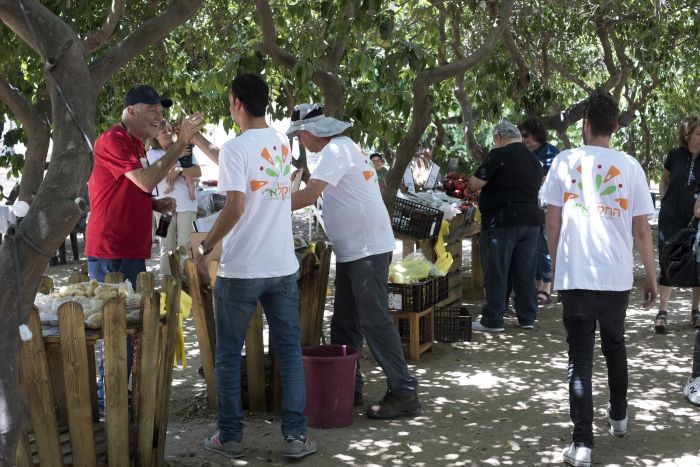 פרדס רבינוביץ. צילום: קרול קרמונה