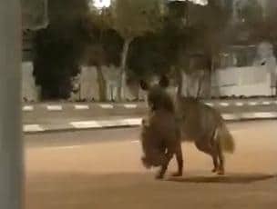 לא חדש לתושבי השכונה
