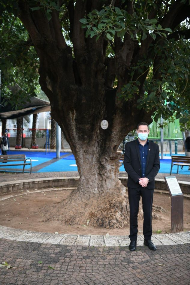 ראש עיריית ראשון לציון- רז קינסטליך, ואחד העצים הוותיקים בעיר. צילום: דוברות עיריית ראשון לציון