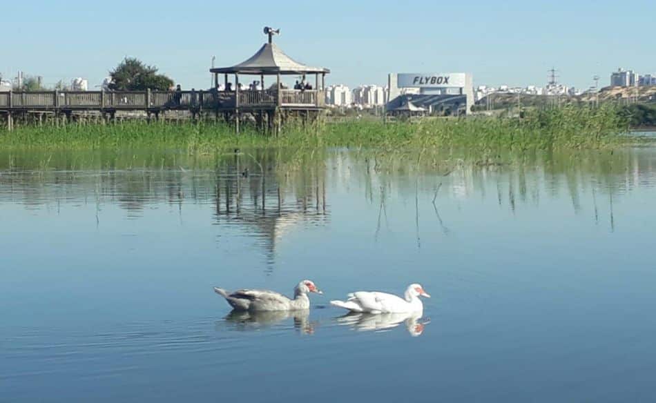 בראשון לציון התושבים המרוצים ביותר מהביטחון ומהפארקים הציבוריים