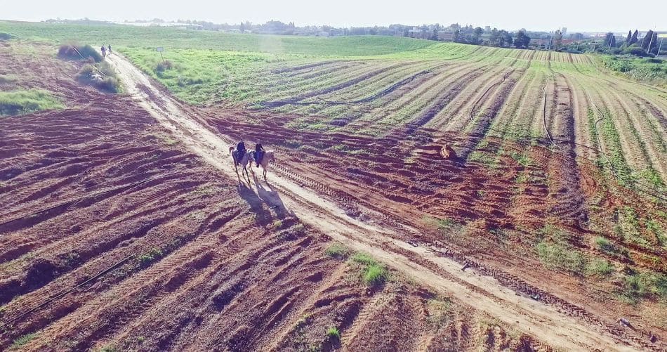 ראשל"צ: העירייה מזהירה מפני רכישת זכויות בקרקעות חקלאיות