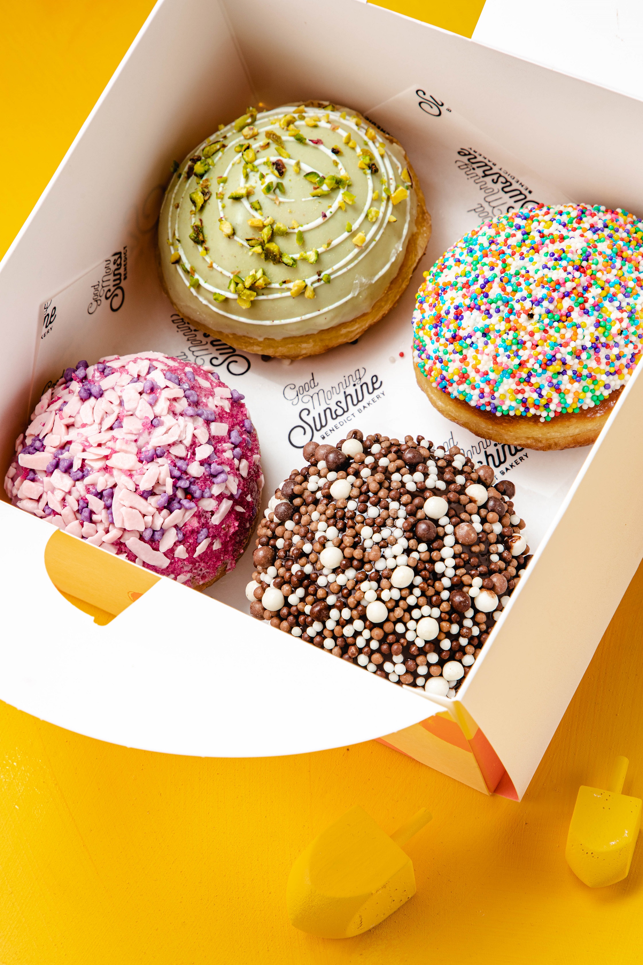 צילום: שרית גופן 